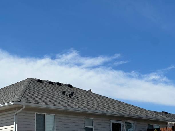 Best Metal Roofing Installation  in Troy, OH